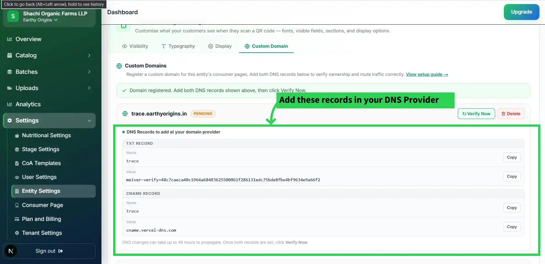DNS provider TXT record entry — Cloudflare example