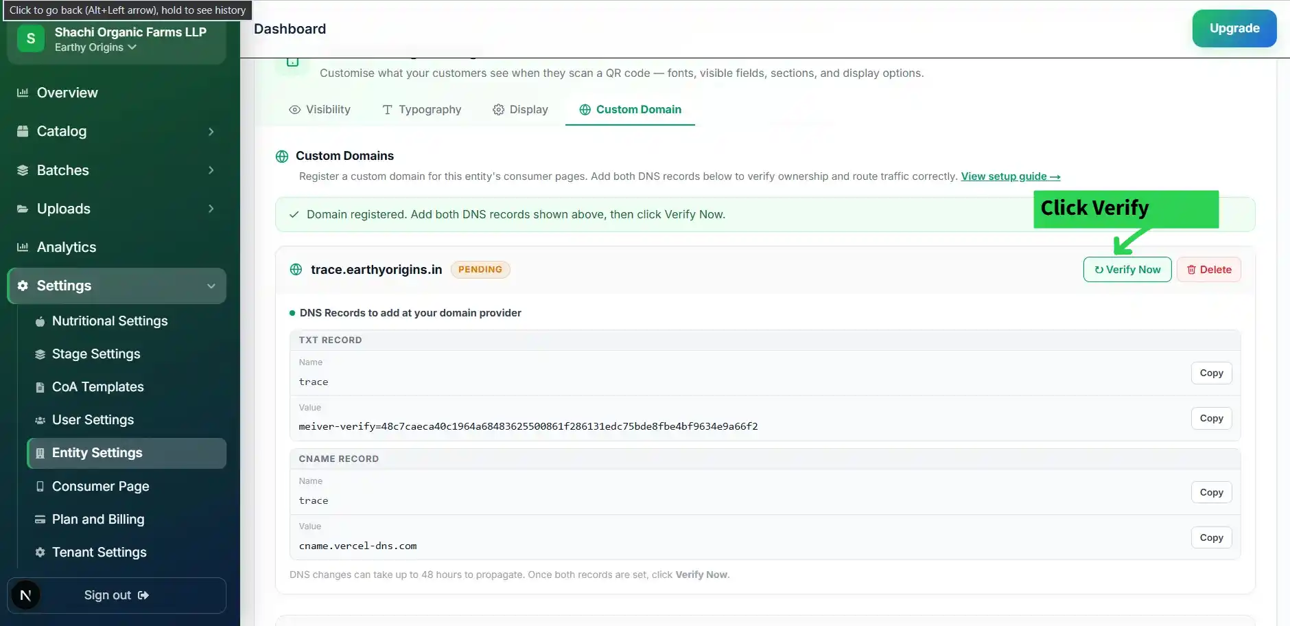 Domain card showing 'Verify Now' button and ACTIVE status after verification